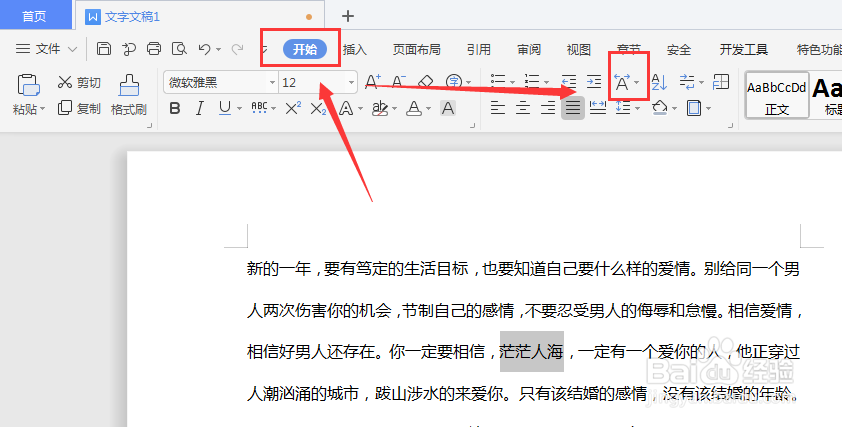 WPS文字文档中如何将多个字符合并为一个