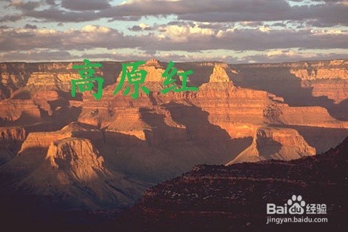 怎样在图片上添加文字