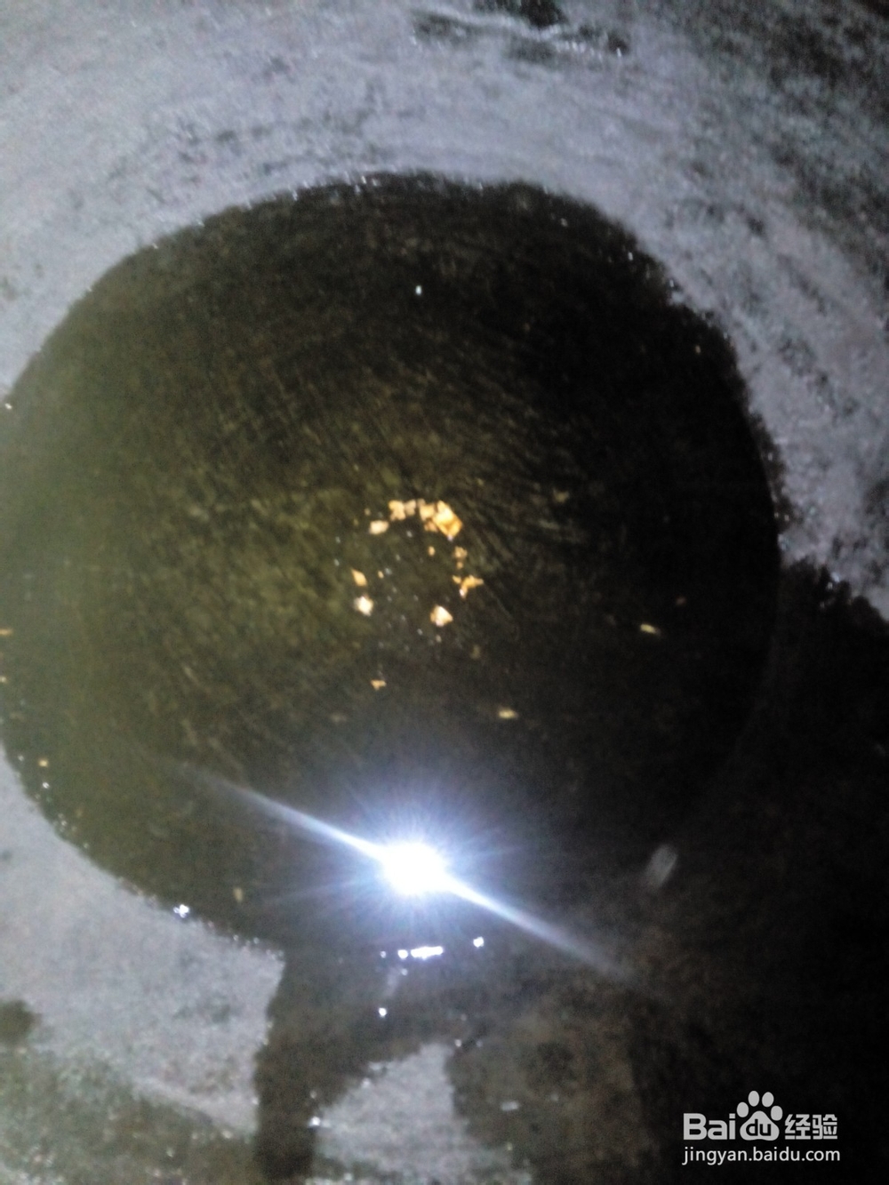 红烧冬瓜的做法