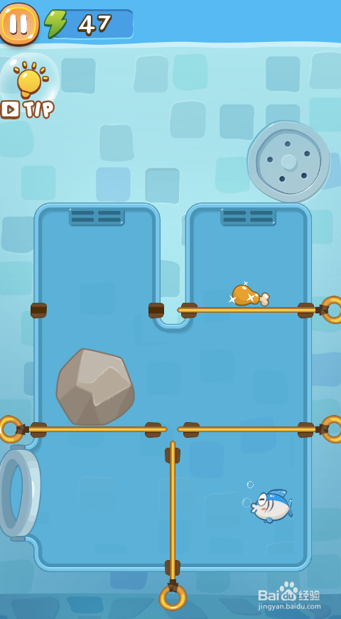 A Wise Fish的Level 8如何通关?