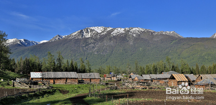 喀纳斯旅游攻略