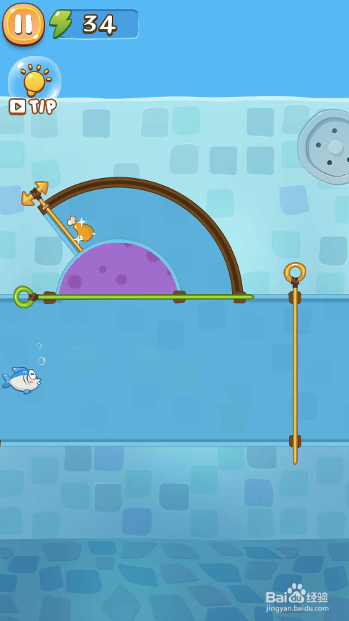 A Wise Fish的Level 11怎样通关?