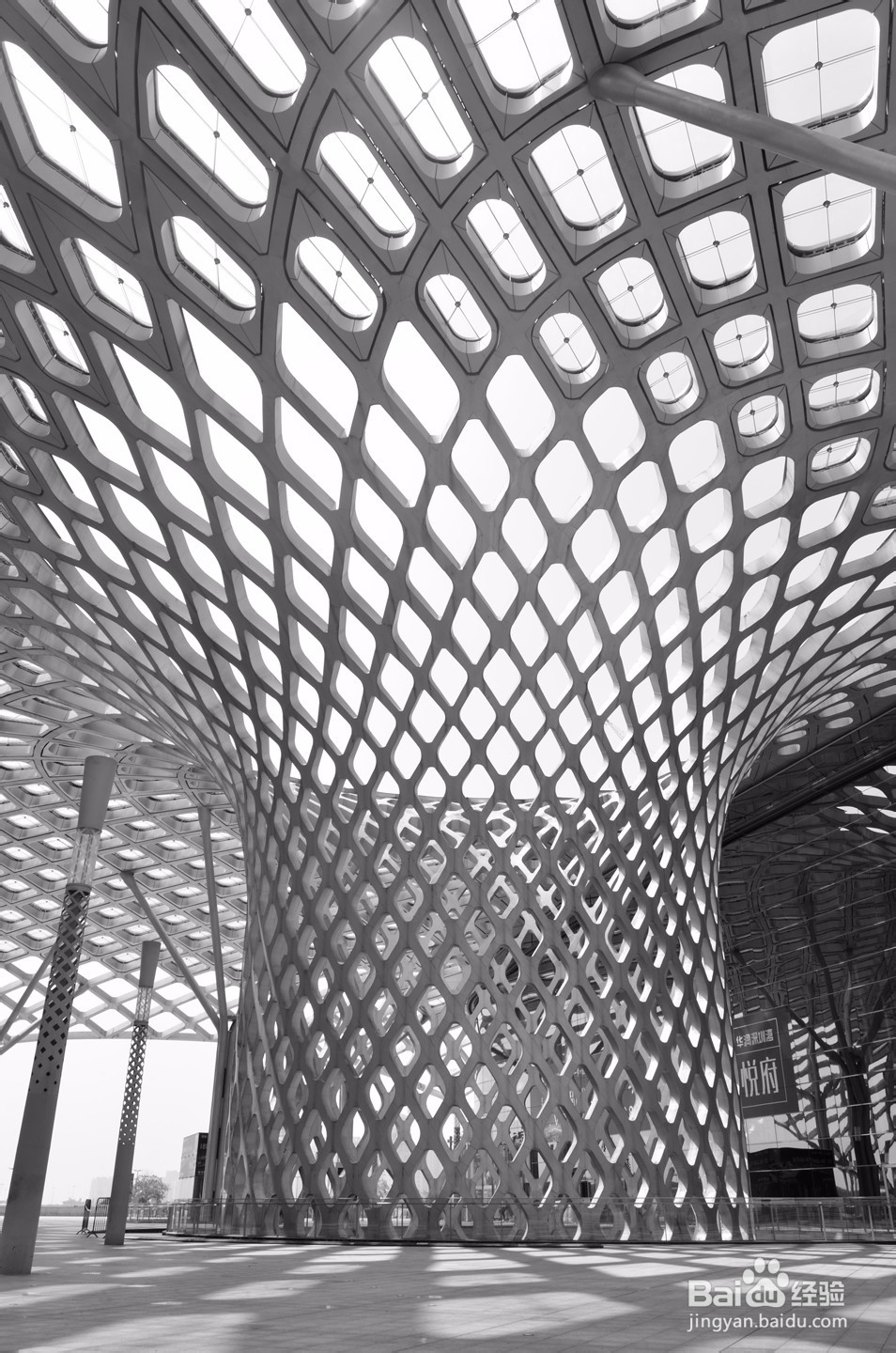 深圳有哪些好玩又免费的地方?