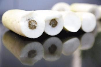 萝卜黑心怎么办？