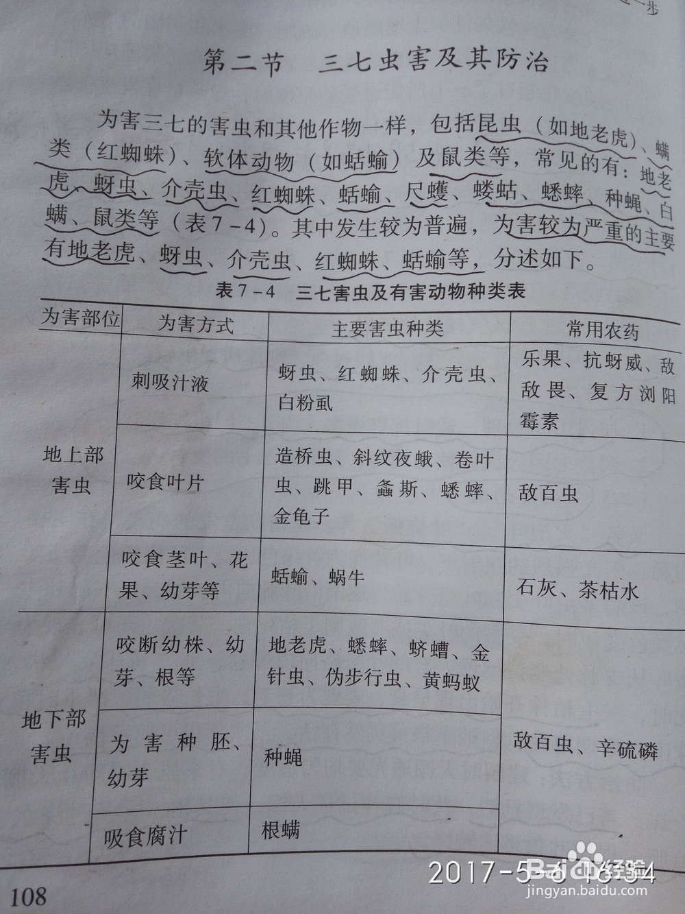 如何辨别三七的优劣,种植园技术员为您解惑