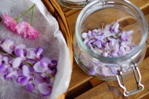 紫藤花食用方法