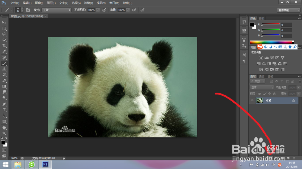 【photoshop】自学入门超简单PS:抠图