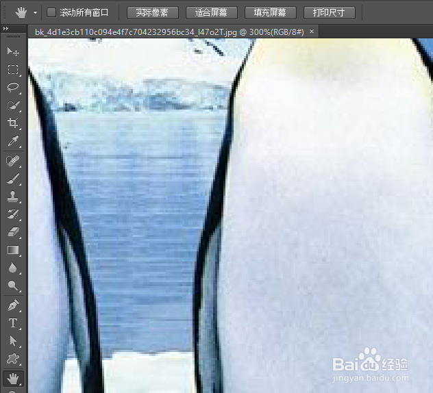 PhotoShop初学者之抓手工具
