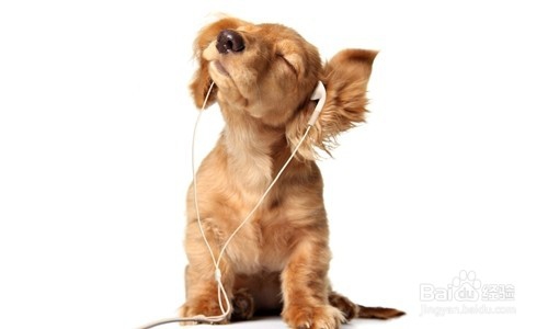 如何提高英语的听力？