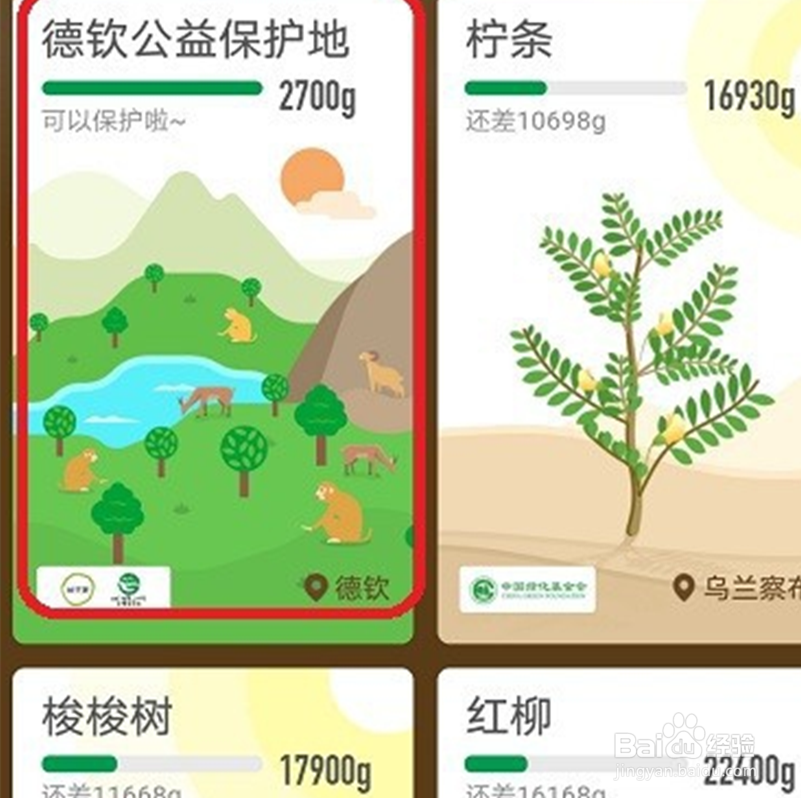 怎样获得支付宝蚂蚁森林德钦保护地守护证书