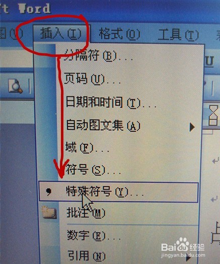 如何输入文档中字与字之间的间隔号