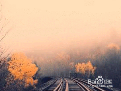 职场中如何提高交际能力,方法实用!