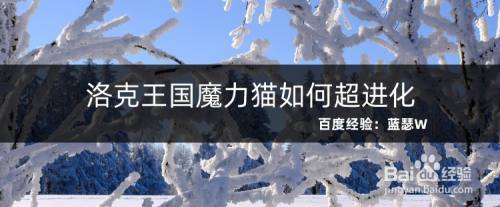 洛克王国魔力猫如何超进化