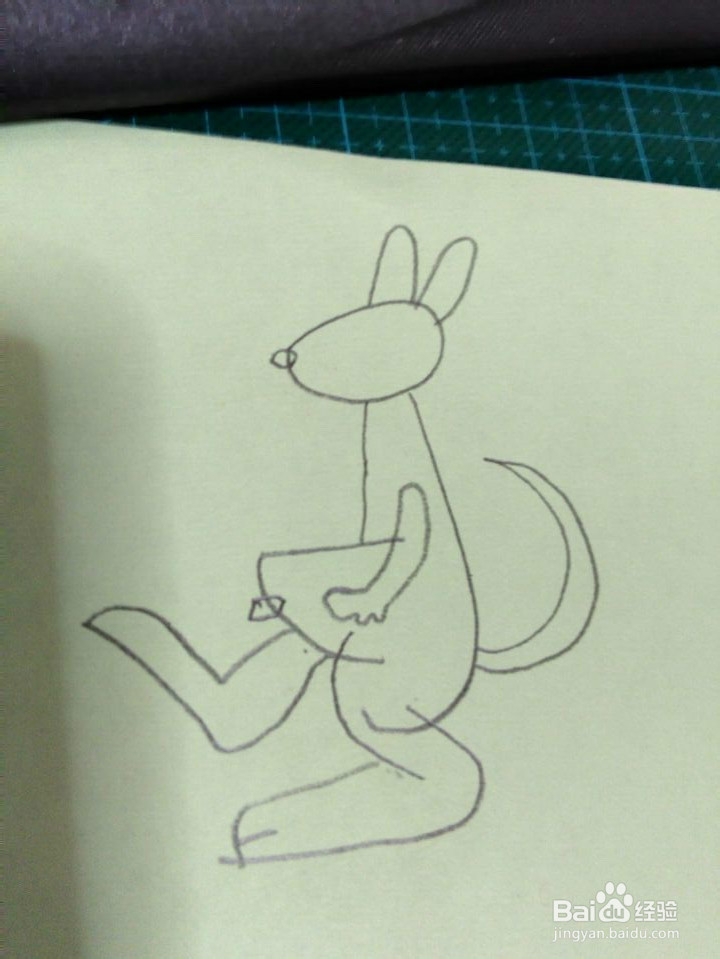 简笔画---袋鼠