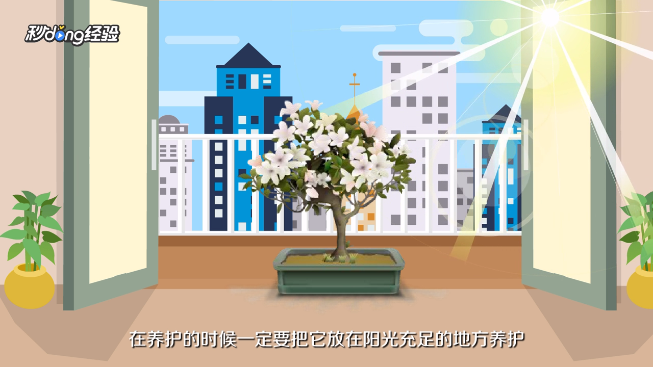 茉莉怎么养才能更旺盛