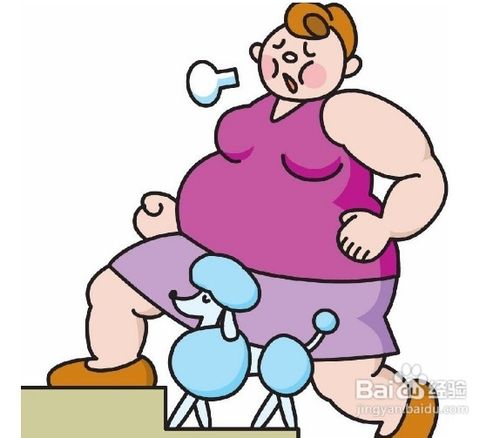 怎样区分肥胖的类别