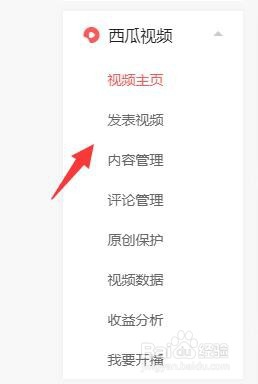 西瓜视频怎么赚钱的