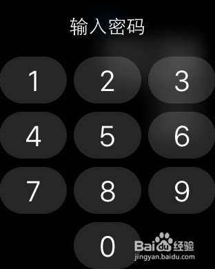 苹果手表Apple Watch忘记了密码怎么办？