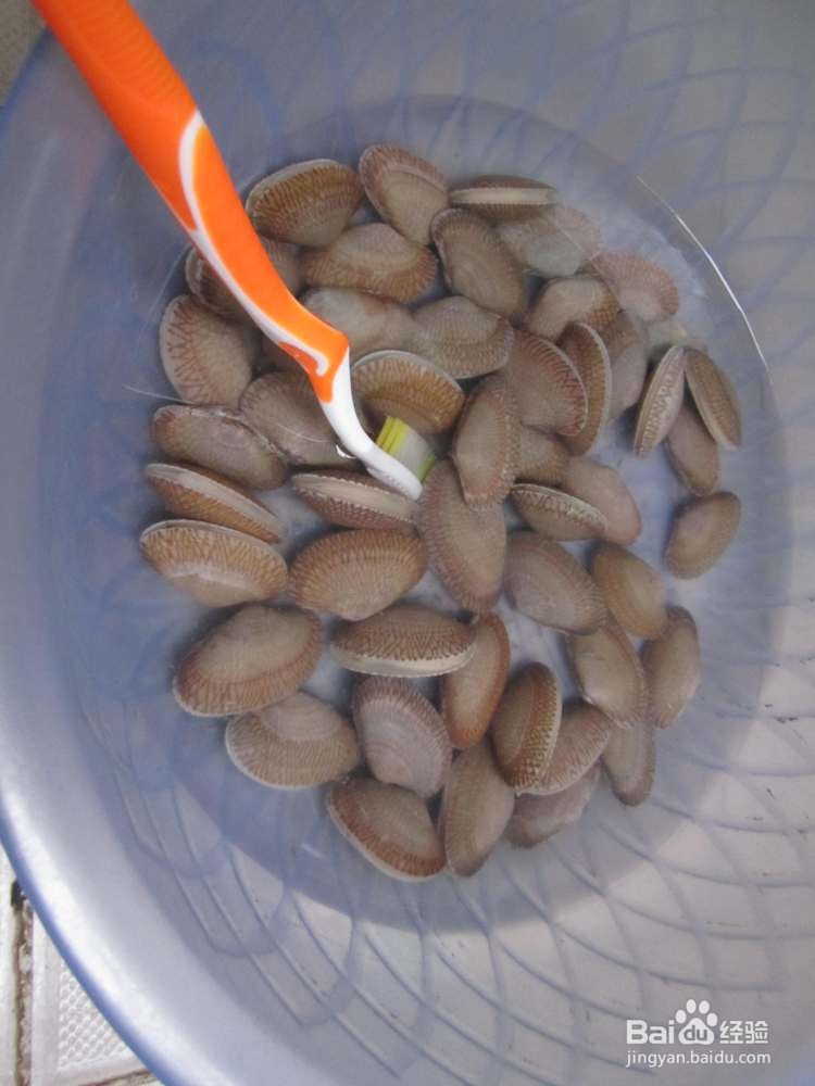 爆炒花甲的做法