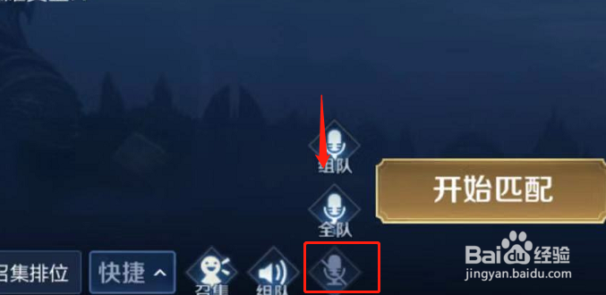 苹果6手机为什么在王者荣耀里开语音说不了话?