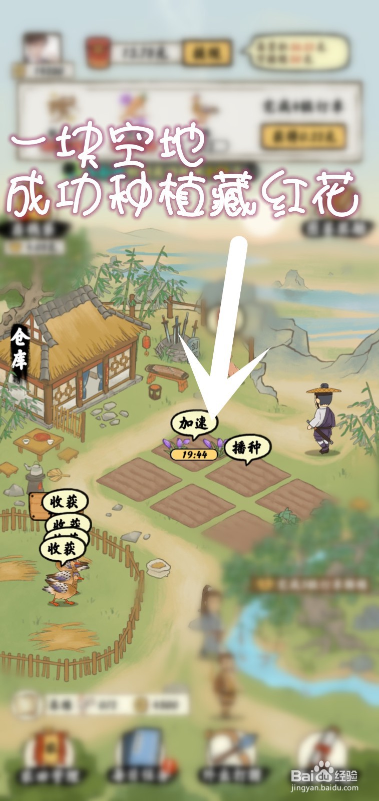 南山小院游戏怎么获得稀有藏红花