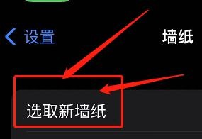 iPhone12手机如何把指定照片放到桌面
