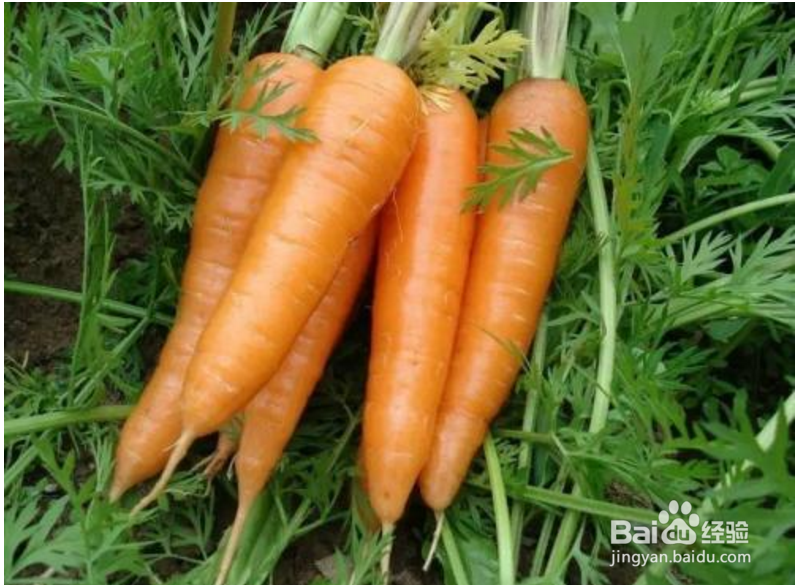 生活小贴士,中药饮片常见的服用方法