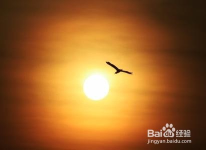 失业后该如何应？