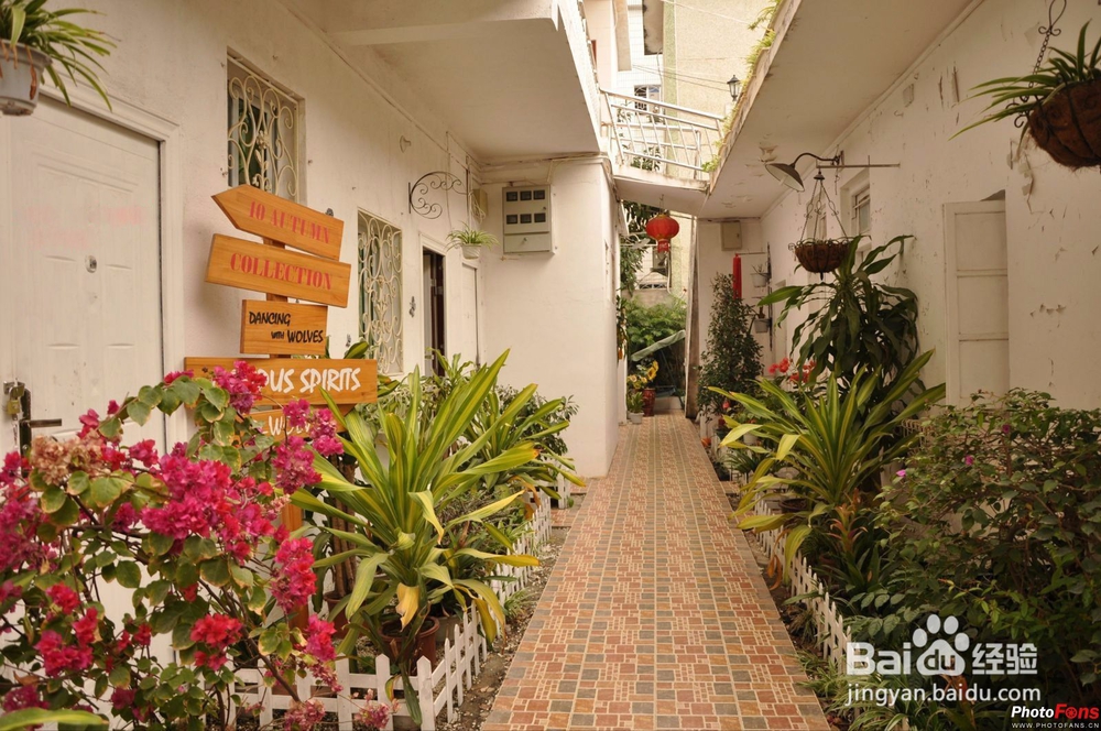 夏天来厦门不可错过的事情 来厦门必做的八件事