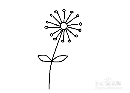简笔画-如何画菊花的简笔画