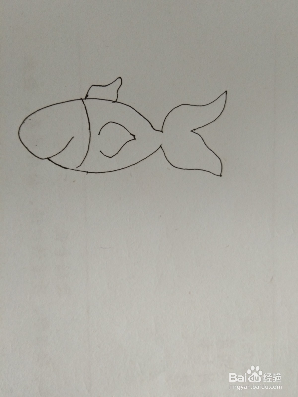 如何画简笔画小金鱼