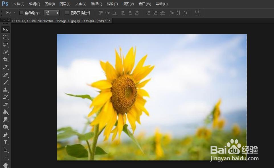 PS如何调整画布大小