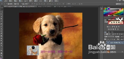 Photoshop制作图片水印的半透明背景教程