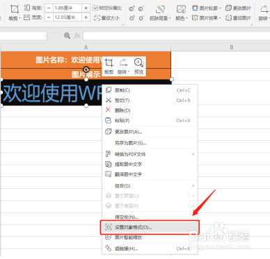 WPS如何设置表格图片随单元格调整而调整？