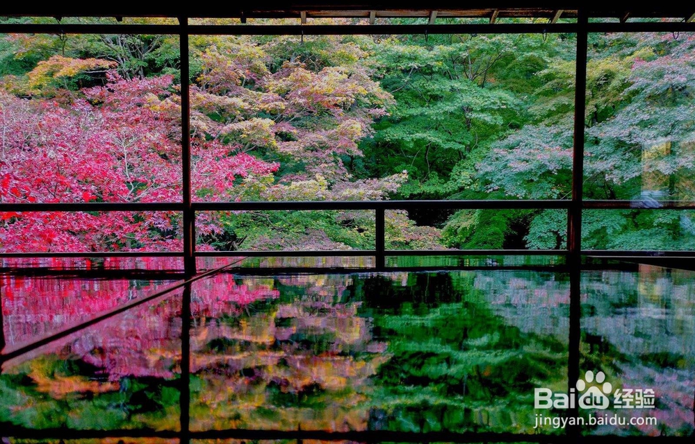 京都 带娃旅游攻略