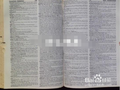 who is she怎么回答?