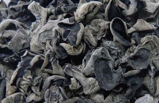 废弃木耳菌袋如何发酵