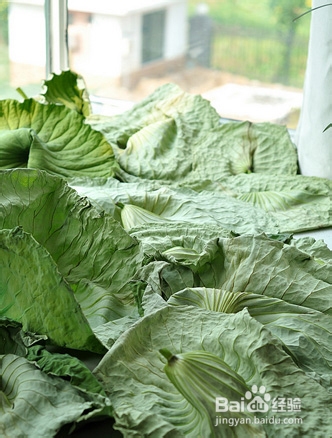 干荷与叶冬瓜皮助减肥