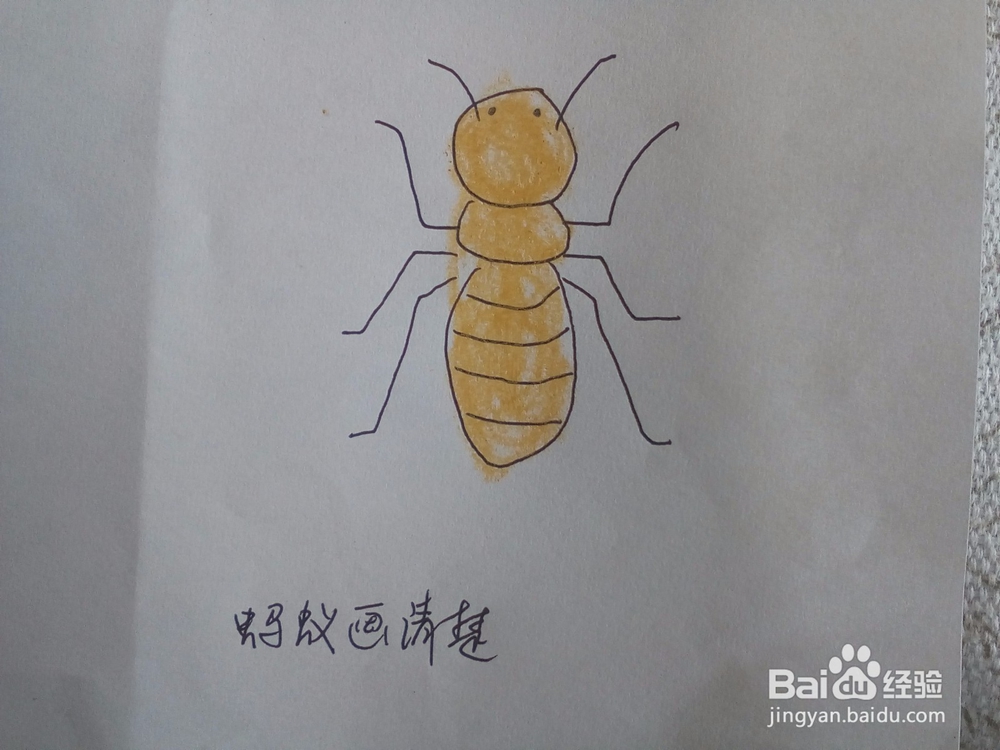 一步一步学简笔画116