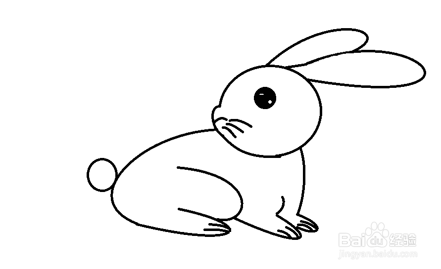 小兔的尾巴怎么画图片