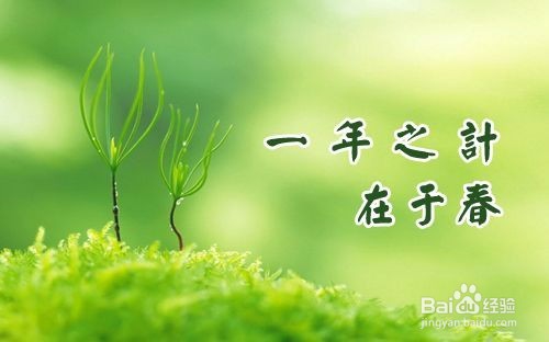 春季上火吃哪些水果好