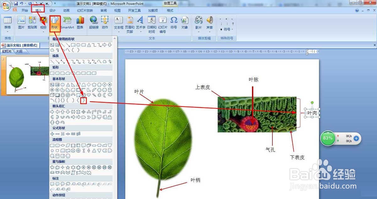 PPT绘制树叶结构名称图解方法的操作
