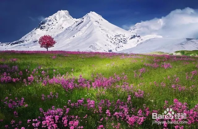 如何打造酷炫的九重天魔幻特效