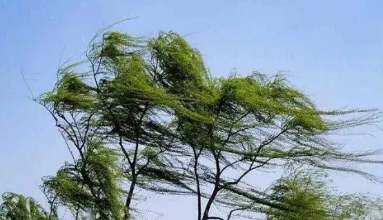 风级顺口溜是什么