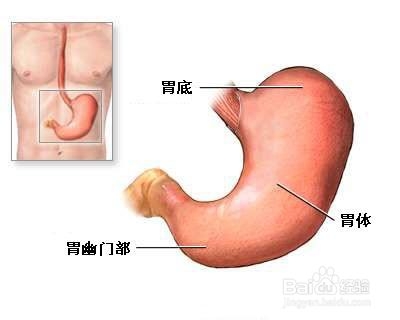 口臭对我们有哪些影响