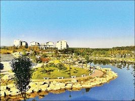 #萌新听我说#山东财经大学圣井校区学习攻略