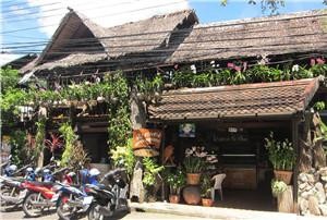 普吉岛夜生活攻略