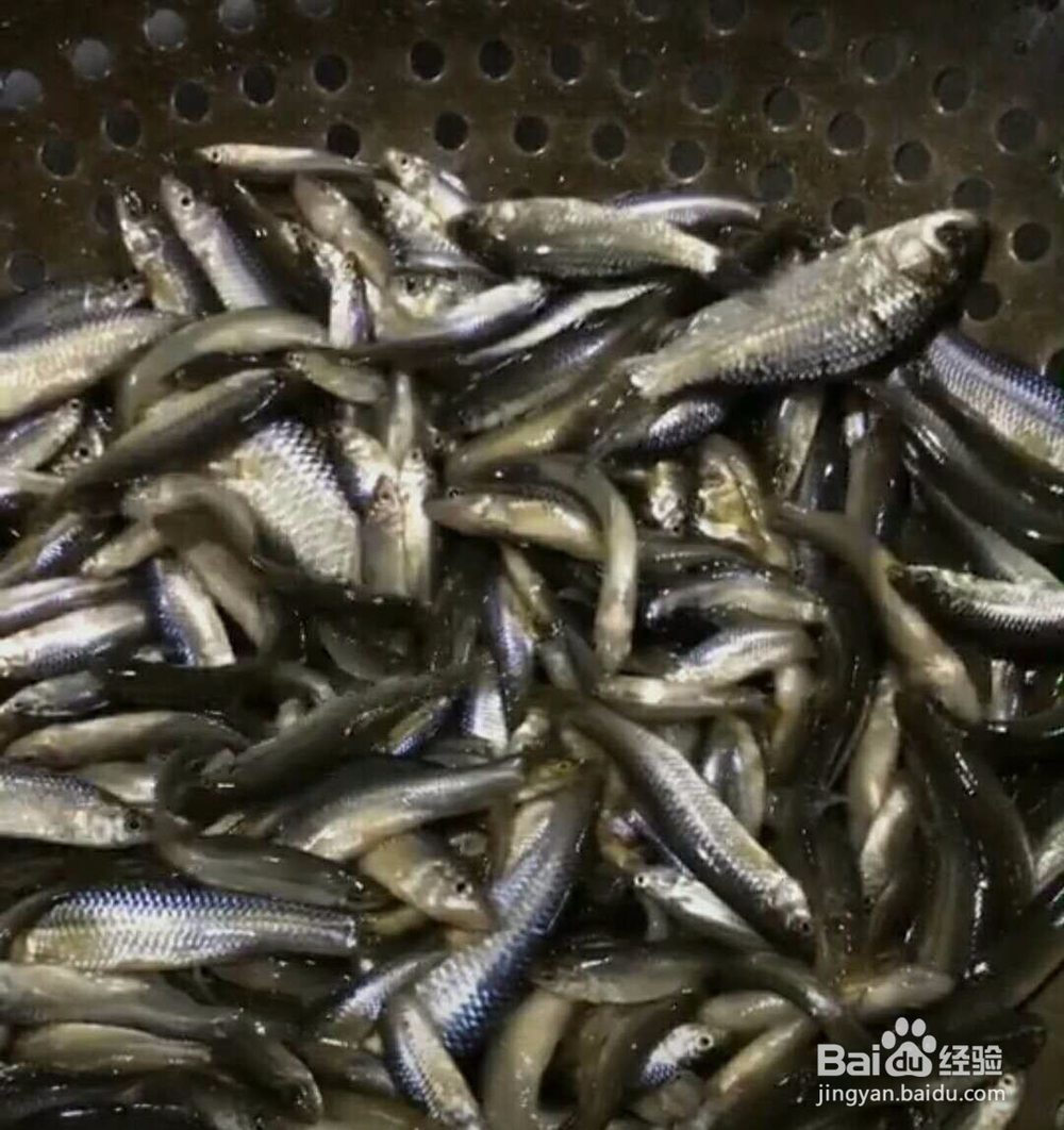 酱顿江鱼做法