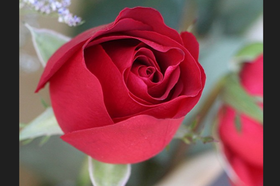 比深红浅一点颜色