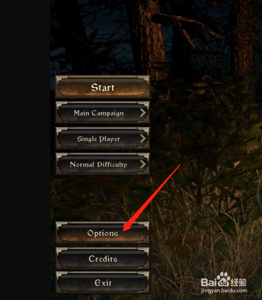 wizard of legend怎么设置中文